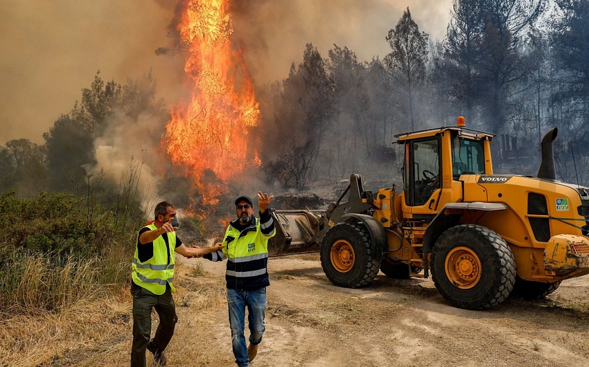 Israel asks Azerbaijan for help in extinguishing forest fires