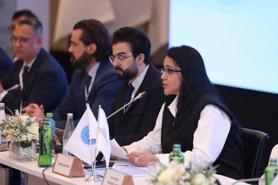 Azərbaycanın QHT nümayəndəsi beynəlxalq paneldə moderatorluq etdi