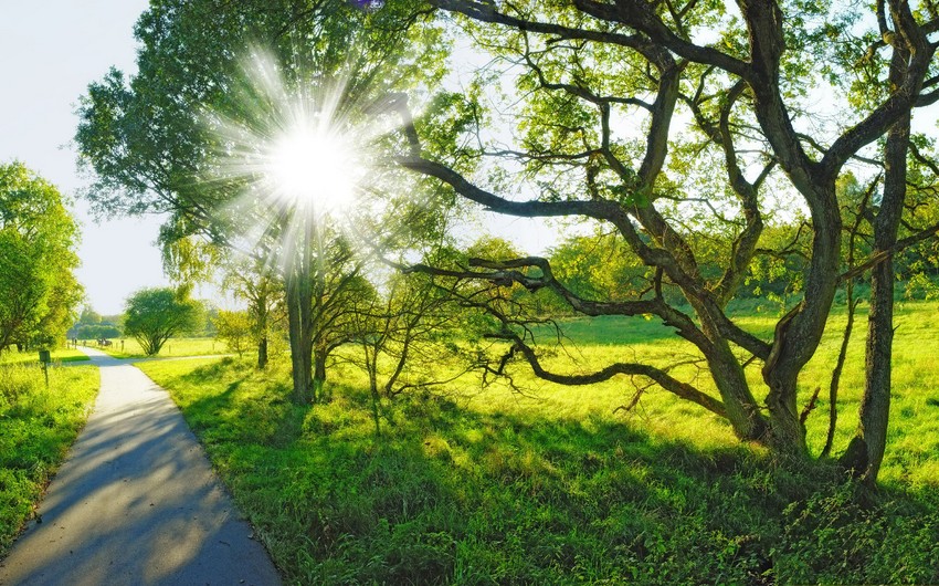 Sabah 28 dərəcə isti olacaq