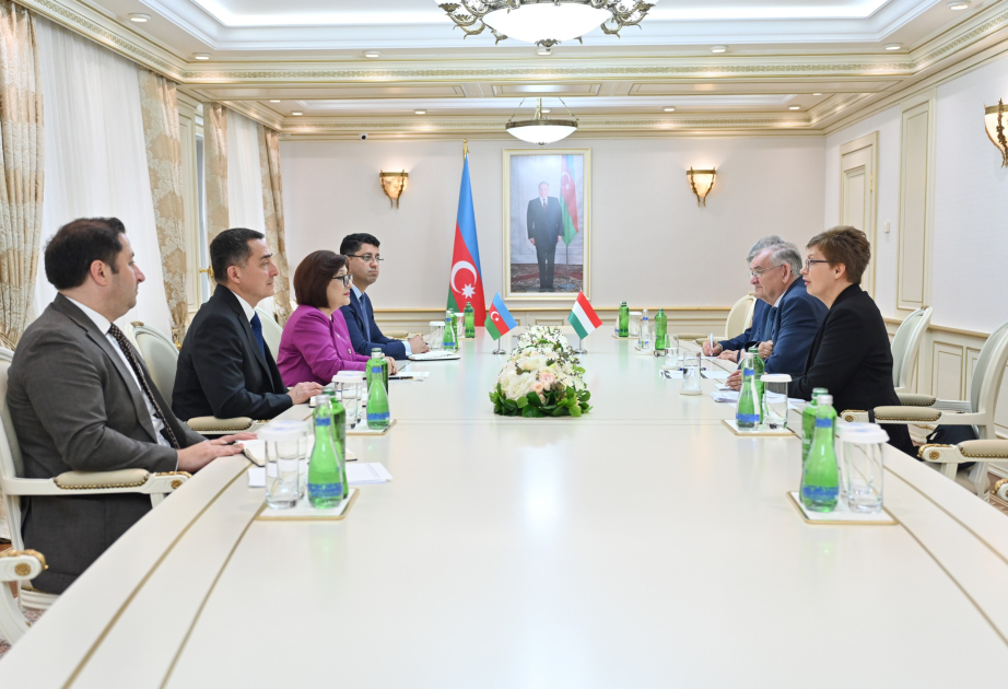 Azerbaijan, Hungary explore interparliamentary ties