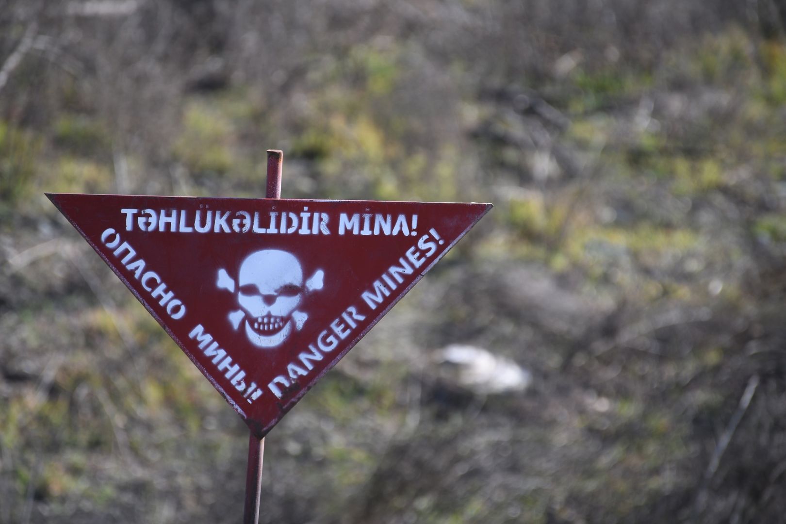 Azerbaijani Ombudsperson releases statement regarding landmine incident in Fuzuli