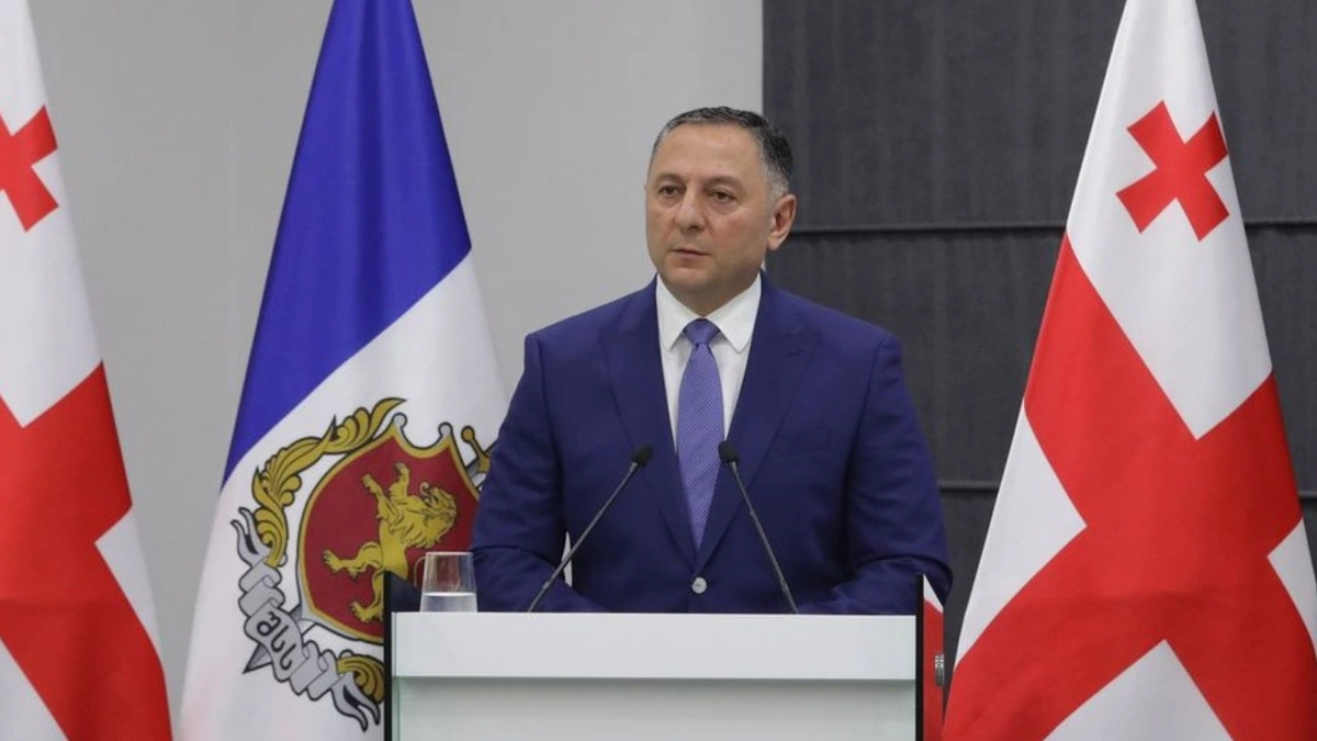 Gürcüstanın daxili işlər naziri istefa verdi