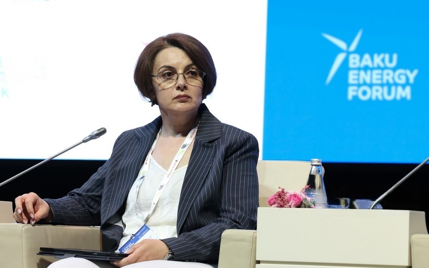 Azərbaycanın “yaşıl hidrogen” hədəfləri üçün tələb olunan əlavə enerji gücü müəyyən edilib
