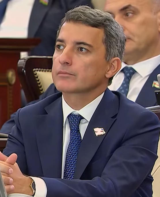 Fariz İsmayılzadə: "Bağçaların sayını artırmaq üçün tikinti standartlarına yenidən baxmalıyıq"