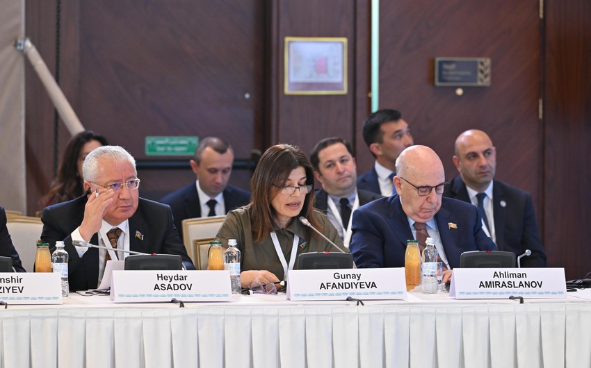 "Azərbaycan, Qazaxıstan, Qırğızıstan və Türkiyə təhsil sahəsində ortaq dil və dəyərlərlə hərəkət etməlidir"