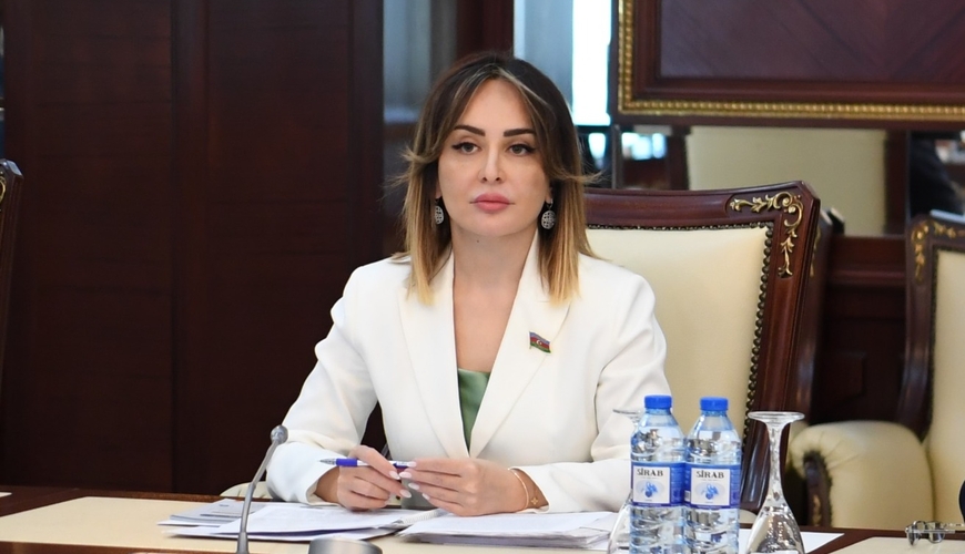 "Azərbaycan və Çin arasında viza rejiminin ləğvi də bu mənada turizm sənayesini inkişaf etdirmək, iqtisadi, mədəni əlaqələrin daha da genişləndirilməsinə təkan olacaq"