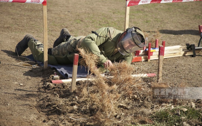 Azerbaijan Mine Action Agency: 1,258 hectares cleared of mines last week