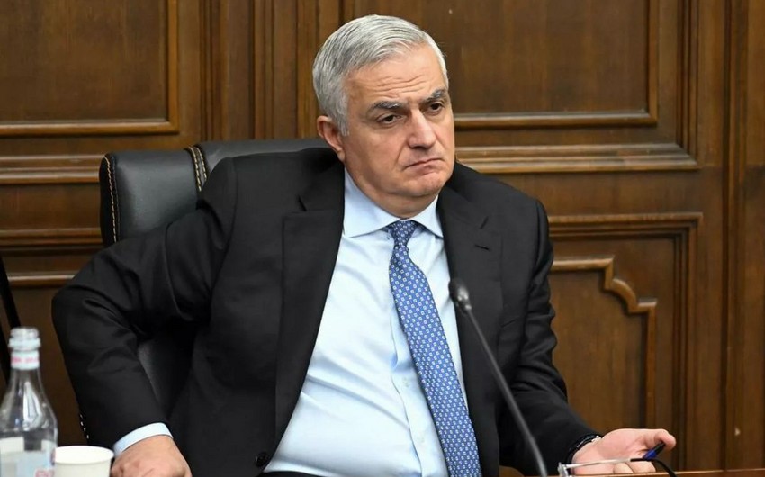 Mher Grigoryan: Azerbaijan, Armenia continue to work within border delimitation