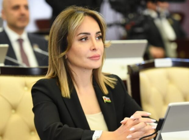 Azərbaycan hərbi gücünü ölkənin müdafiəsi və təhlükəsizliyinə yönəldib