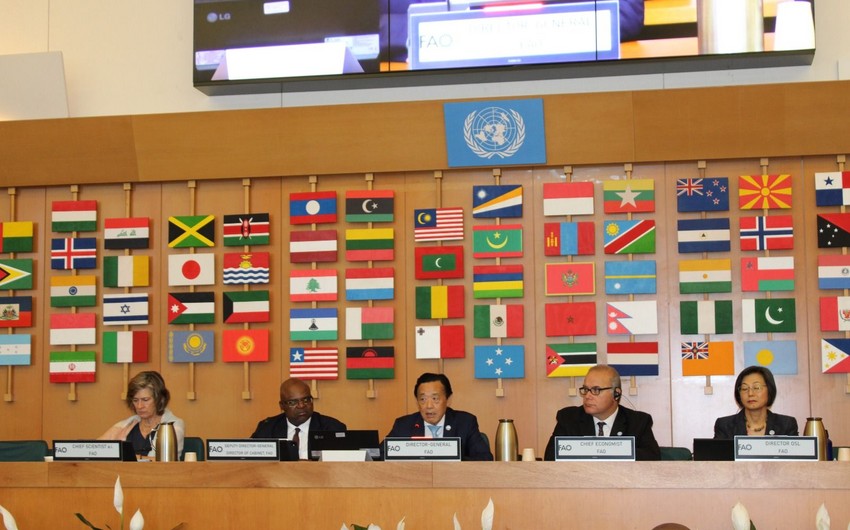 Azerbaijani minister of agriculture participates in FAO Special Ministerial Event