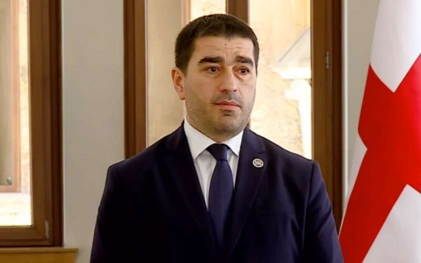 Спикер парламента Грузии: митинг радикалов финансировал ЕС