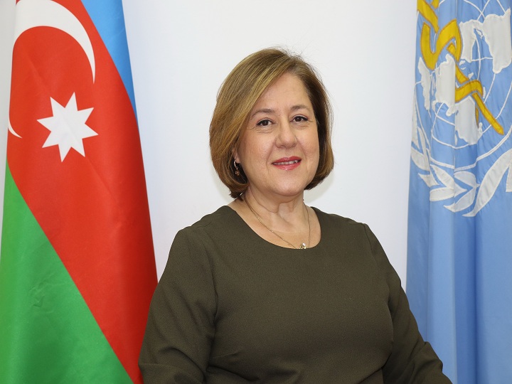 Azərbaycan Sağlam Şəhərlər Təşəbbüsünə qoşulmaq istəyir