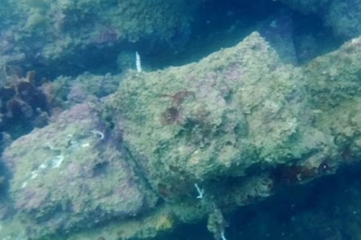 Atlantidanın izləri tapıldı