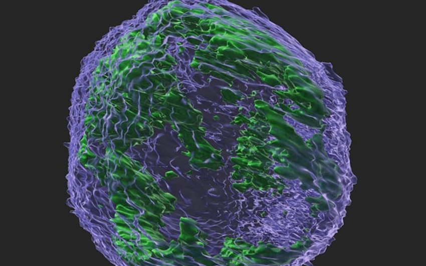 Scientists find natural substance stopping spread of cancer cells