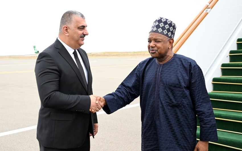 Nigerian minister to attend 17th ECO Summit in Khankandi