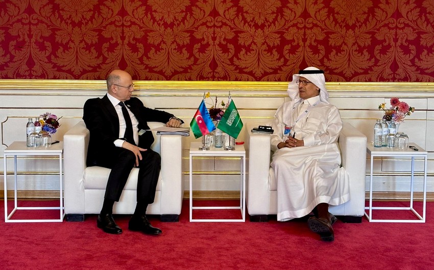 Azerbaijan, Saudi Arabia discuss co-op in hydrocarbon sector