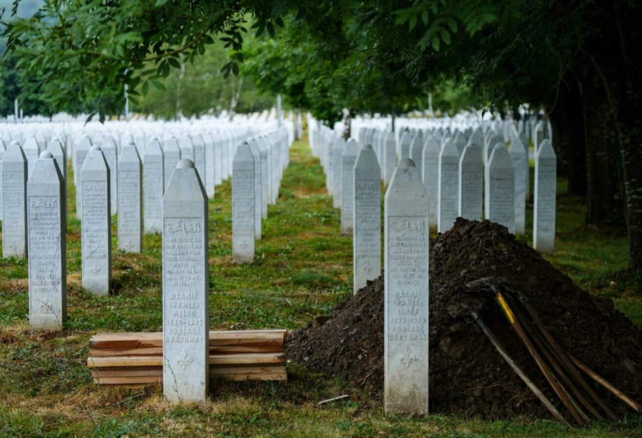 Dünya Srebrenitsaya niyə susdu?