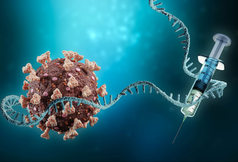 Scientists develop universal mRNA vaccine to target all types of cancer