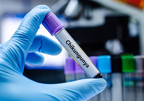 New virus in China: Hundreds of people infected every day