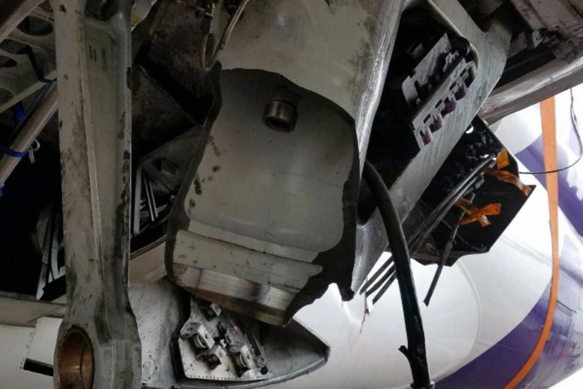 A stowaway was found dead inside the landing gear of an American Airlines flight
